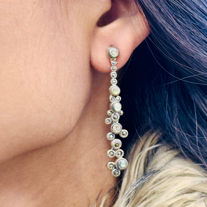Close-up of an ear wearing a silver earring with beads, with hair and fur in the background.